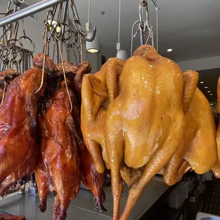 Roasted duck and soy chicken