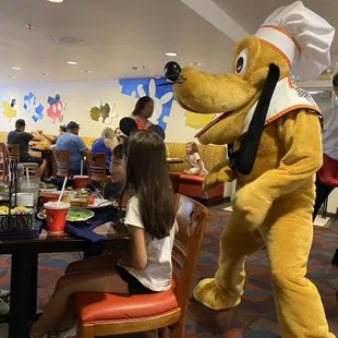 covered seating area with Pluto