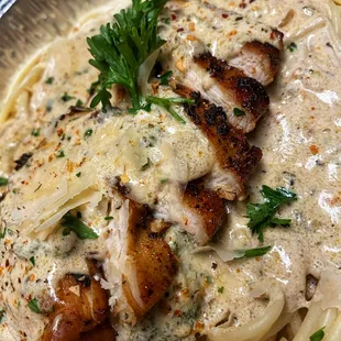 Chicken Alfredo w/ spaghetti noodles