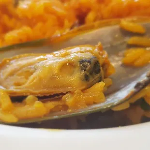 Mussels