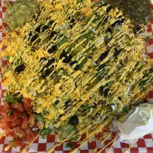 Loaded Carne Asada &amp; Chicken fries