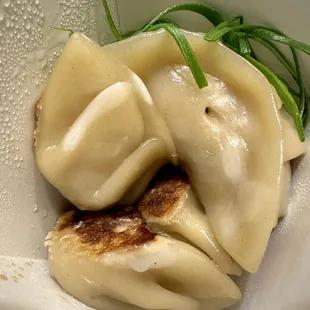 Potstickers