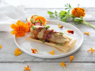 Alicia's Tamales Los Mayas