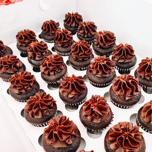 Cupcake minis are the best treat for your tailgating parties. Baked fresh and delivered daily 

Pictured:50 shades of chocolate