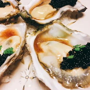Oysters and caviar