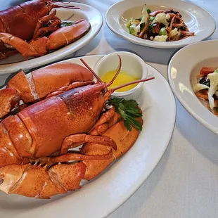 Thursday Lobster Special 1.5 lbs