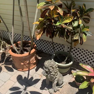 Some scenery outside the restaurant.