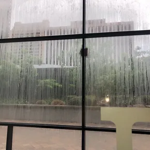 View from dining area on a rainy day, though.