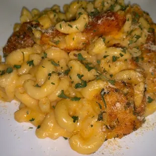 a plate of macaroni and cheese