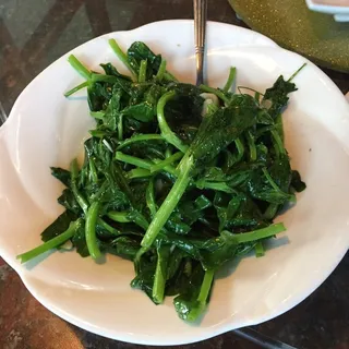 Sautéed Snow Pea Shoot 蒜蓉大豆苗