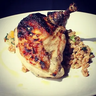 All natural chicken breast, Tuscan style farro, citrus, castelvetrano olives, extra virgin olive oil, spinach and Pecorino Romano cheese