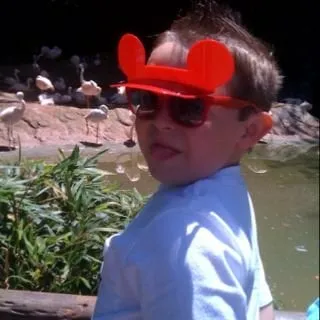 Dave D.