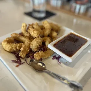 Fried Calamari