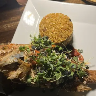 Red Snapper Filet