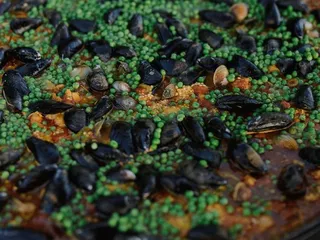 Paella del Reyes