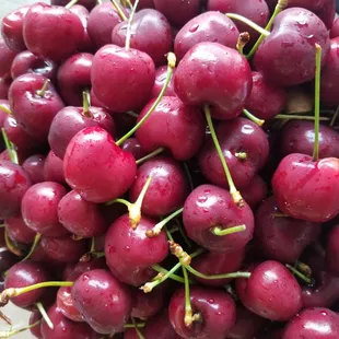 This year&apos;s orchard-fresh delivery! 10 pounds of Lapin cherries!