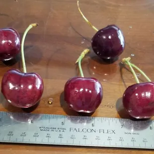 Huge, sweet &amp; juicy Lapin cherries