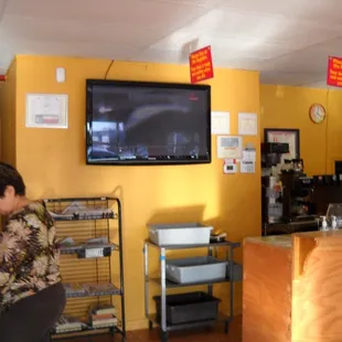 THE PLASMA TV