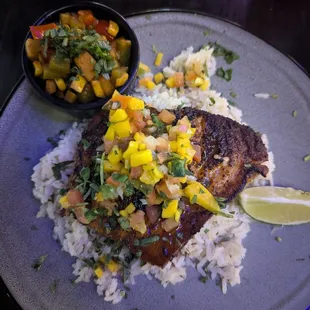 Swordfish