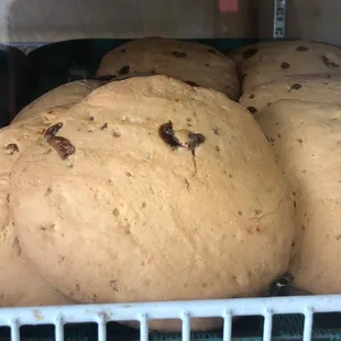 Chela&apos;s Bakery #3 - pan dulce mexicano, galletas de choco-chip