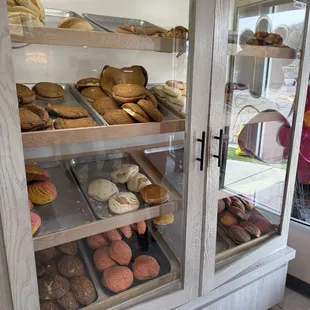 So much good wheat bread. Some of them are filled with delicious fillings like strawberry, vanilla, pumpkin, pineapple, etc.