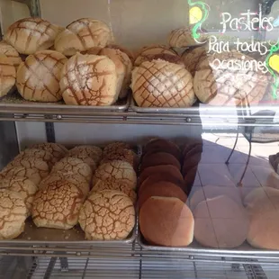 Conchas (very soft with nice sugar shell coat) and plain pan