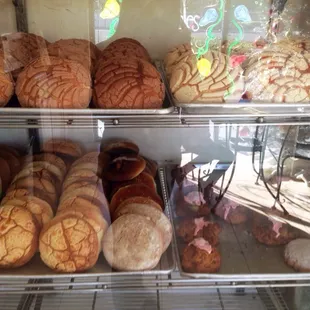 Conchas, piedras (bottom right), and one galleta (cookie; bottom right)