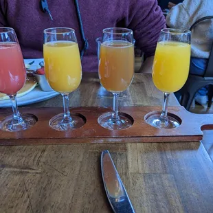 Mimosa flight