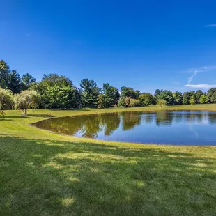 Relaxing pond at Chelsea Village