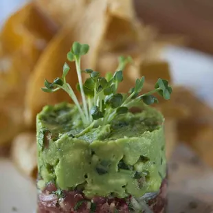 Tuna Tartare