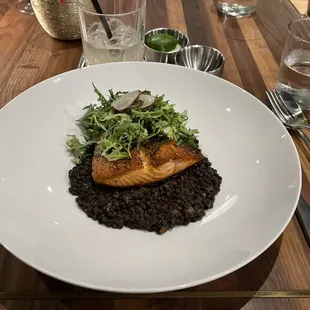 Salmon