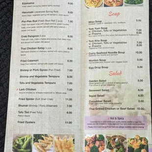 Appetizers and Soup/salad