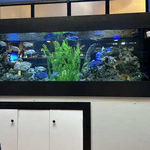 a fish tank in a living room