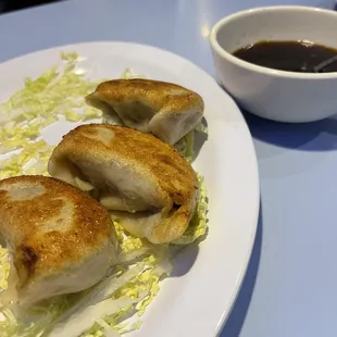 Pan Fried Dumplings