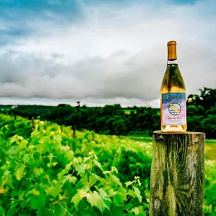 a bottle of wine on a post