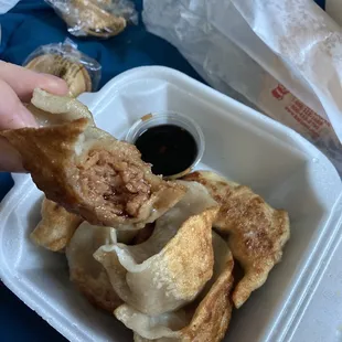 Pot Stickers