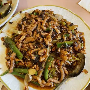Shredded Pork and Green Pepper