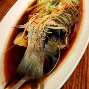 Steamed sea bass