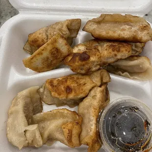 Pan Fried Chicken Dumplings
