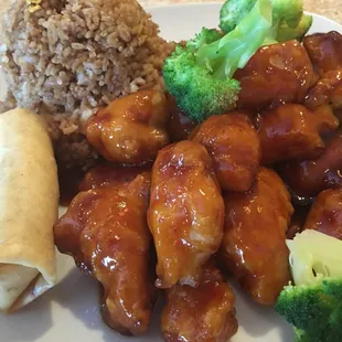 Sour Chicken Spring Rolls