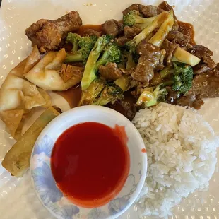 Beef and Broccoli lunch platter