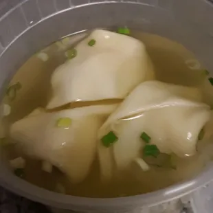 Needed hot, brothy soup --- Won Ton Soup.
