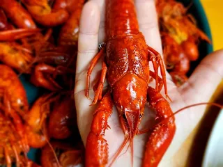 B & C Seafood Market & Cajun Restaurant