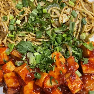 Chili paneer and noodles