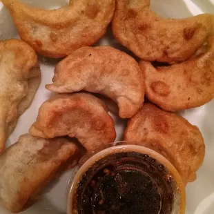 Fried Dumplings