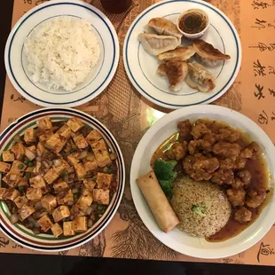 Ma Po Tofu with white rice and General Taos chicken combination, fried dumplings