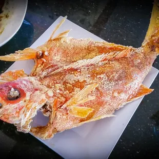 Deep fried red snapper