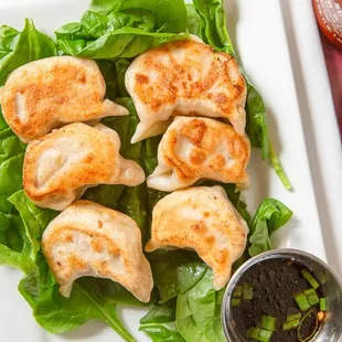 Potstickers