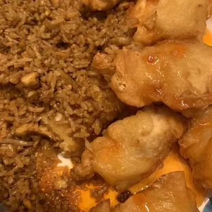Sweet and Sour Chicken with Spicy Fried Rice