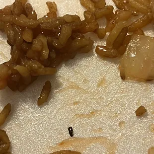 There bugs in the shrimp fried rice that i got this makes me sick i can&apos;t believe this !